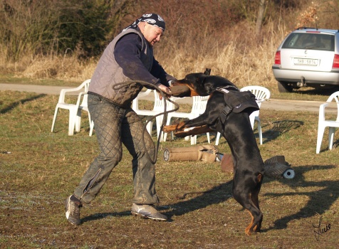 The christmas training 27.12.2006